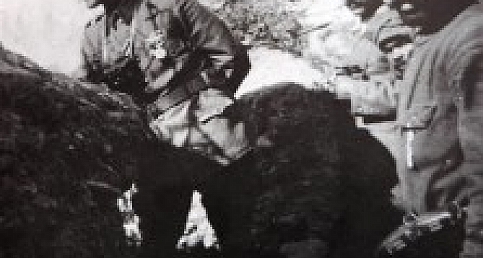 Çanakkale Resimleri