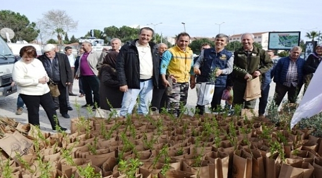 Biga’da Vatandaşlara Ücretsiz Fidan Dağıtıldı