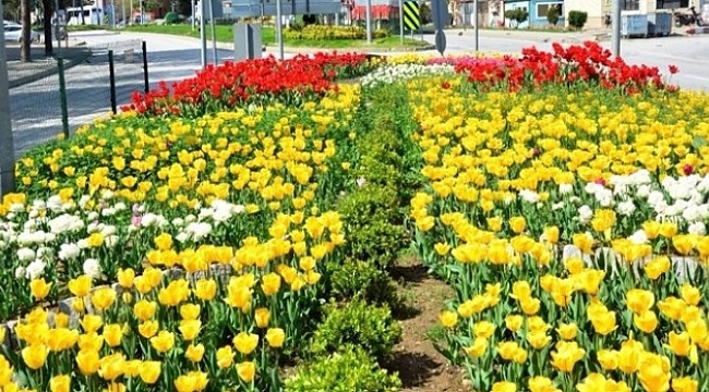 Lapseki’de Üst Yapı Çalışmaları Hız Kesmeden Devam Ediyor