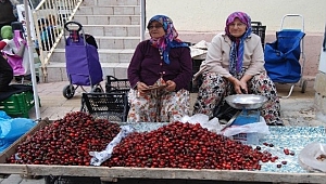Bayramiç'te Kiraz Üreticisi Ekonomi Sıkıntıda