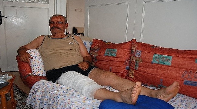 2 metre boyunda Yılanı görünce bakın ne yaptı?