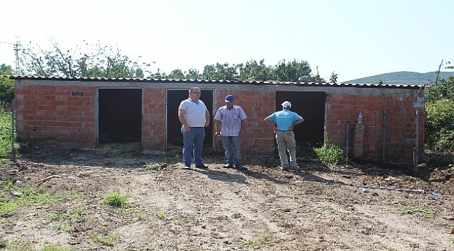 Çardak’ta hayvan barınağı inşa ediliyor