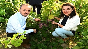 Turan’dan, Bozcaada’ya ziyaret