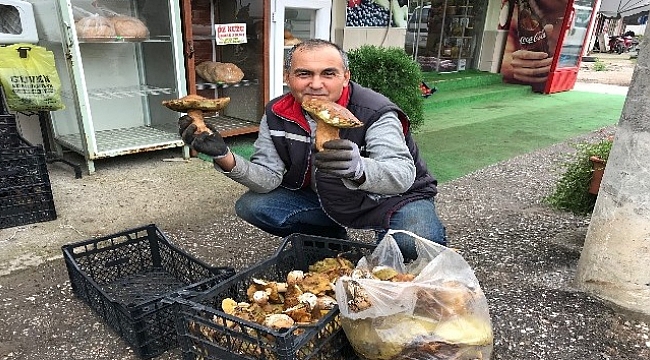 Ayi Mantari Koylunun Gelir Kapisi Oldu Guncel