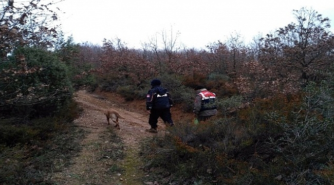 Çan'da mantar toplarken kaybolan yaşlı kadın bulundu