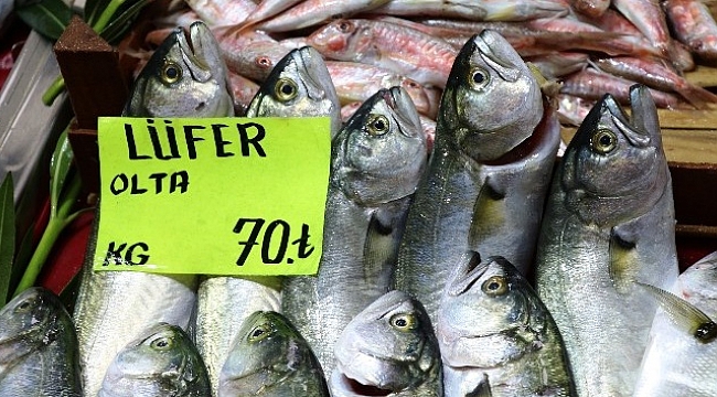 Denizlerin prensi 70 liraya tezgahlarda