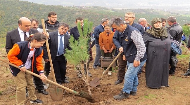 Biga'da öğrenciler fidan dikti