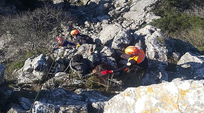 Kayalıklarda mahsur kalan keçileri AFAD halatlarla çekerek kurtardı