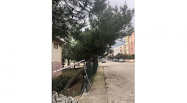 ÇANAKKALE BELEDİYESİ'NDEN BİLGİLENDİRME