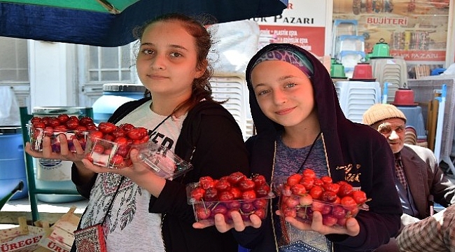 Lapseki kirazı 20 liradan tezgahlarda