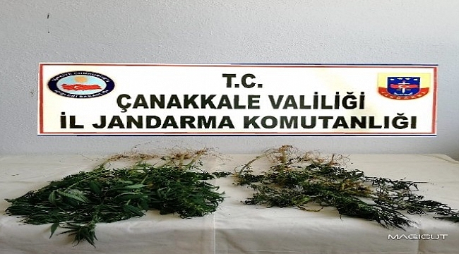Çanakkale'de uyuşturucu operasyonu: 1 gözaltı