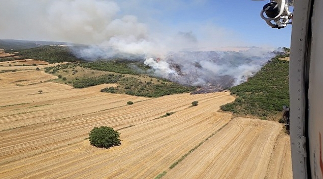 Gelibolu'da anız yangını ormana sıçradı