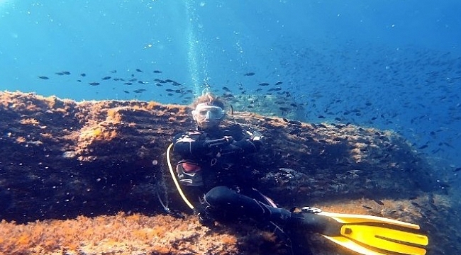 Türkiye'nin ilk ve tek ‘Su Altı Milli Parkı'nda dalış turizmi