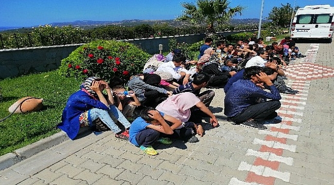 18 kişilik minibüsten 54 mülteci çıktı