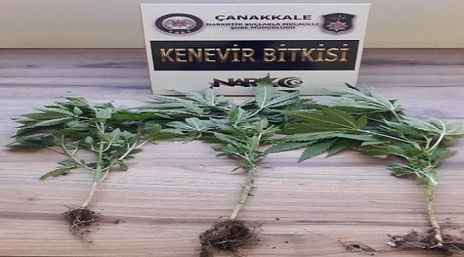 Çanakkale'de uyuştucu operasyonu: 1 tutuklama
