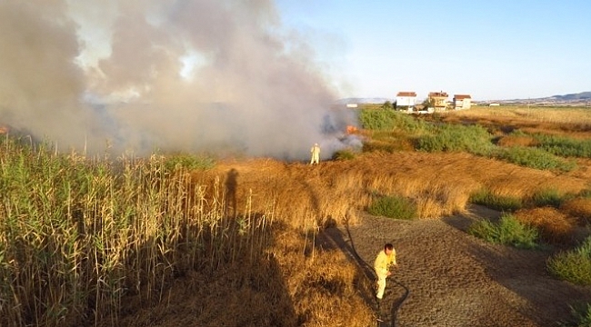 Biga'da sazlıkta çıkan yangın korkuttu