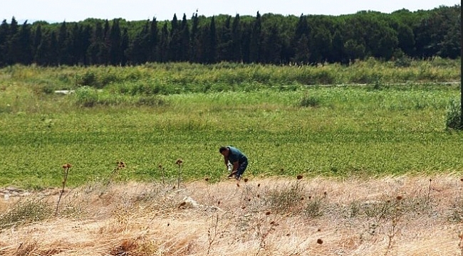 Çanakkale’de 104 yıldır kayıp olan Kumkale Şehitliği’nin yeri tespit edildi.