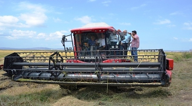 Çeltik hasat töreni yapıldı