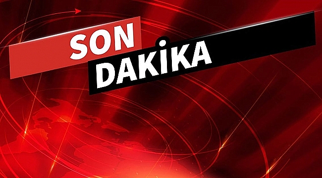 Çanakkale'de deniz patlıcanı operasyonu