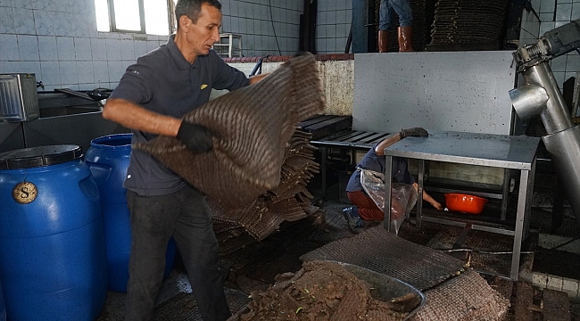 Geleneksel yöntemle beş kuşaktır zeytinyağı üretiyorlar