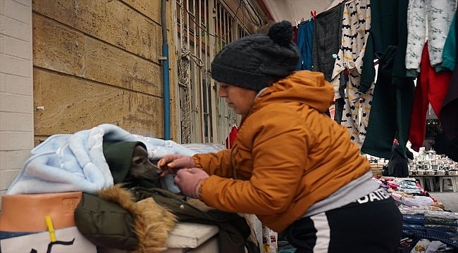 Pazarcı kadın yanından ayırmadığı köpeğini battaniyeyle ısıtıyor