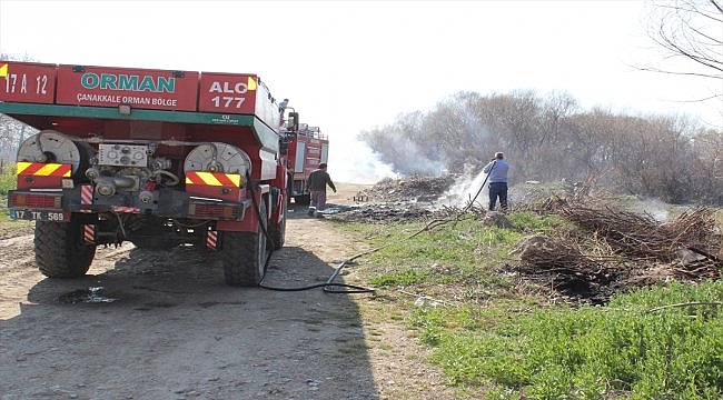 Bayramiç'te ağaçlık alanda yangın