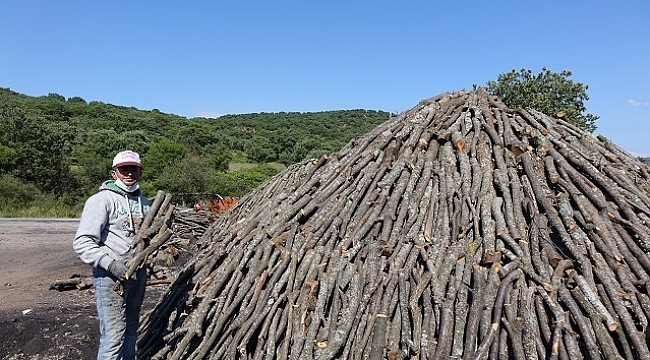 Geçimlerini mangal kömürü yaparak sağlıyorlar
