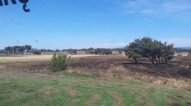 Bayramiç'te buğday tarlası yandı