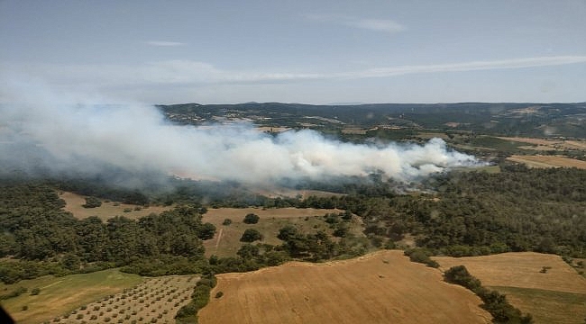 Çanakkale'de orman yangını