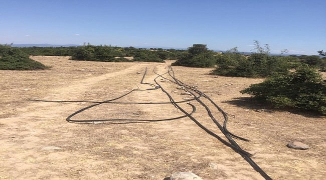 Ayvacık'ta kablo hırsızlığı şüphelisi 3 kişi yakalandı