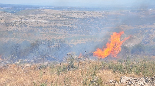 Çanakkale'de örtü yangınında 5 dönüm alan zarar gördü