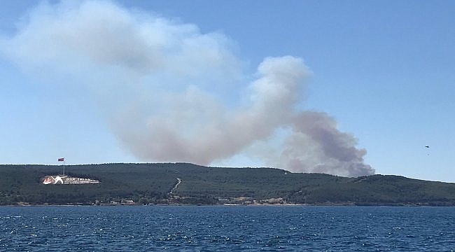 Çanakkale'de orman yangını