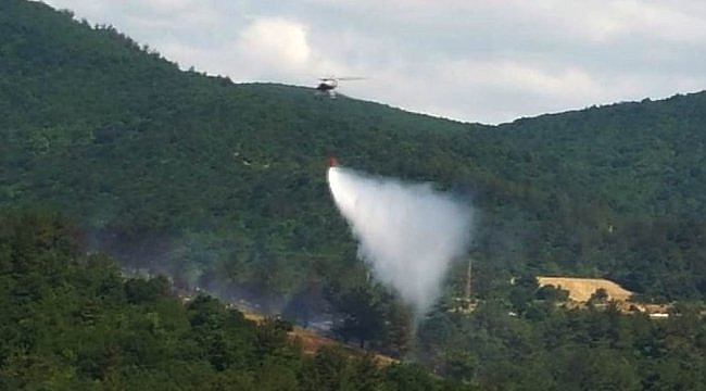 Çanakkale'de ormanlık alanda çıkan yangın söndürüldü