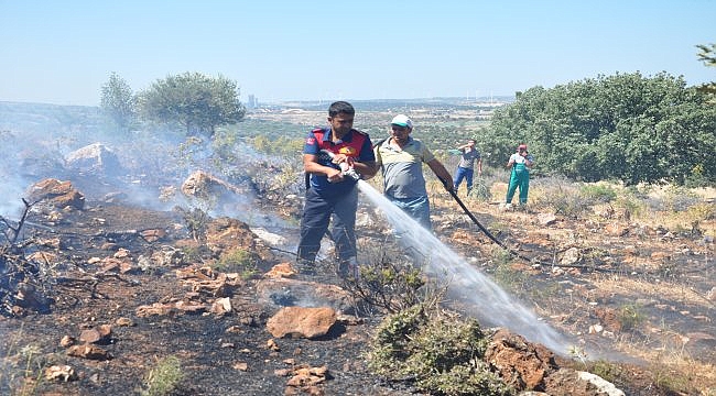 Çanakkale'de örtü yangınında 1 hektar alan zarar gördü