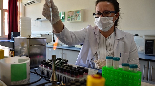 "Çay özü ve bor"dan doğal dezenfektan üretecekler