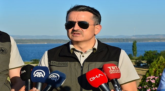 Tarım ve Orman Bakanı Pakdemirli: "Tüm yangınların hepsi kontrol altında"