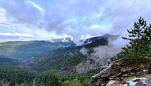 Kazdağları'nın kuş envanterine 5 yeni tür eklendi