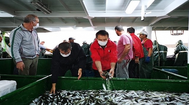 Çanakkale Valisi İlhami Aktaş Balıkçılarla Birlikte Ağ Çekti
