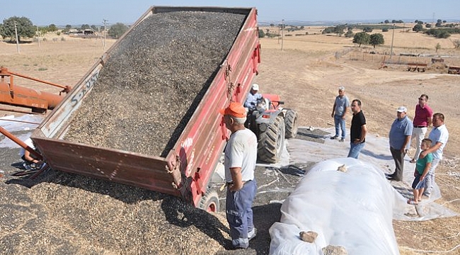 Ezine'de ay çiçeği alımlarına başlandı