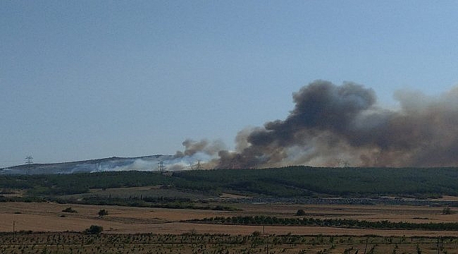 Gelibolu'da ormanlık alanda yangın çıktı
