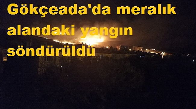 Gökçeada'da meralık alandaki yangın söndürüldü