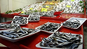 Çanakkale'de restoranlar kapalı, balık fiyatları düşük