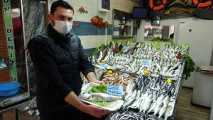 'Denizlerin prensi' lüferin kilosu 100 liraya düştü