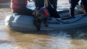 Çanakkale'de baraj suyunda kaybolan kişiyi 'kadavra köpekleri' arıyor