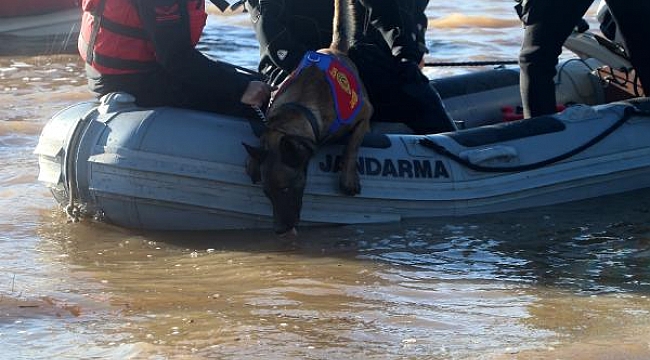 Çanakkale'de baraj suyunda kaybolan kişiyi 'kadavra köpekleri' arıyor