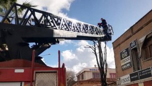 Çanakkale'de çatıda mahsur kalan kediyi itfaiye ekibi kurtardı