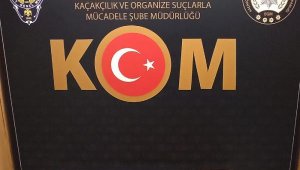 Çanakkale'de deniz yıldızı fosili ele geçirildi