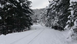 Çanakkale'de kar yağışı etkili oldu