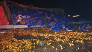 Çanakkale'de meyve yüklü kamyon devrildi: 1 yaralı