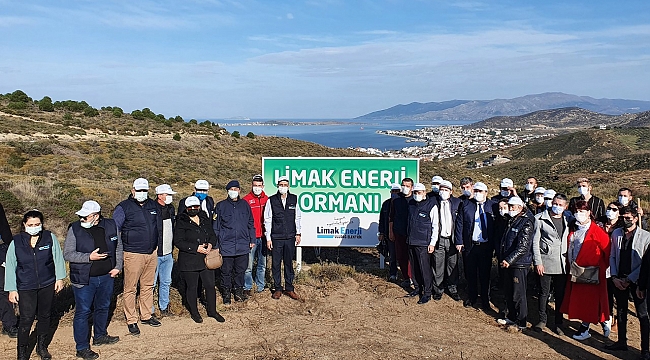 LİMAK ENERJİ, BALIKESİR’İ AĞAÇLANDIRACAK